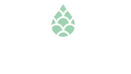 Barramundi Plumbing
